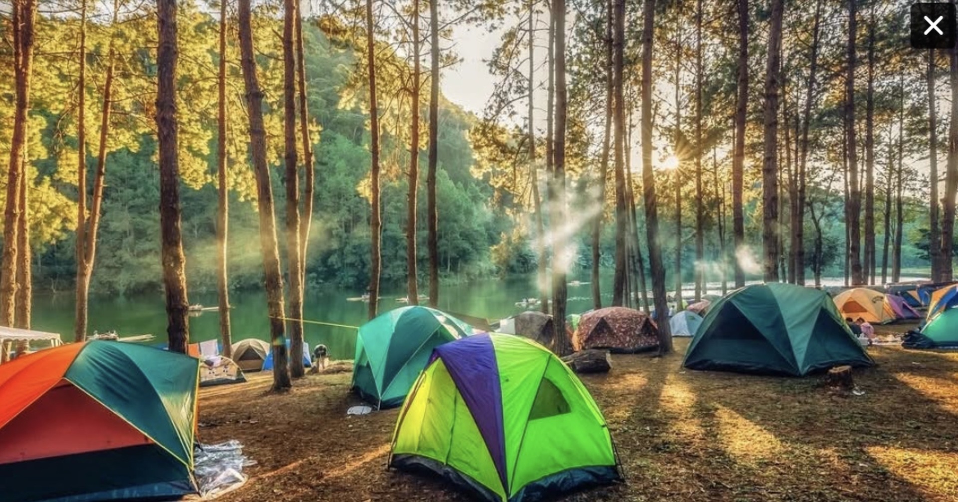Child Molested At Bergen County Boy Scout Camp, Lawsuit Says